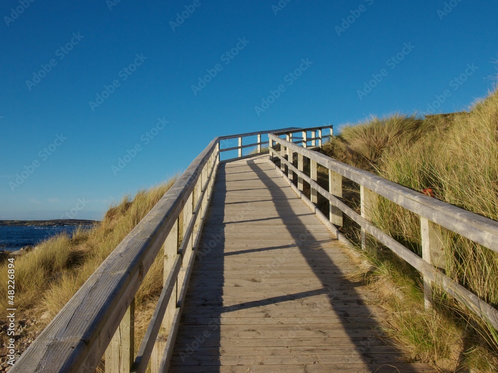 wooden deck on a sunny beach