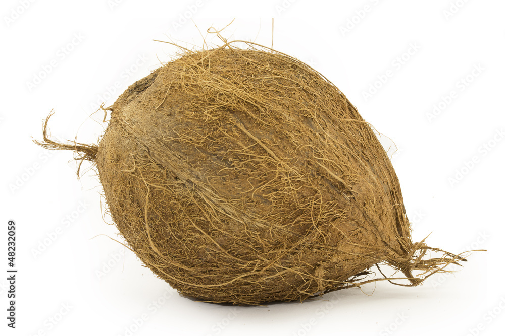 coconut coconut