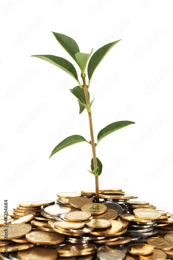 plant growing out of gold and silver coins plant growing out of gold and silver coins