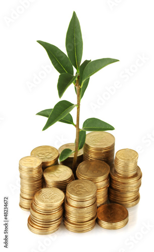 plant growing out of gold coins isolated on white