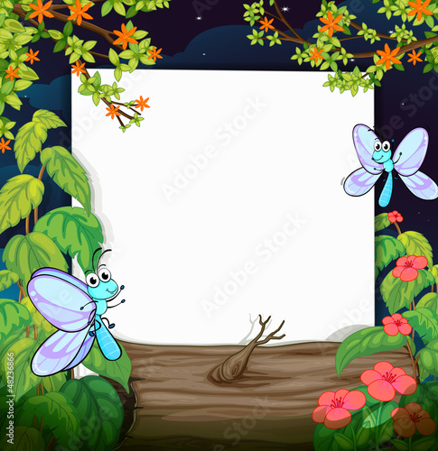 Flies and a white board