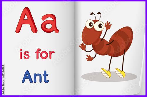 A picture of an ant in a book