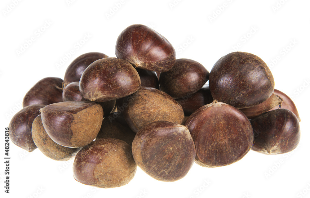 Edible chestnuts Edible chestnuts