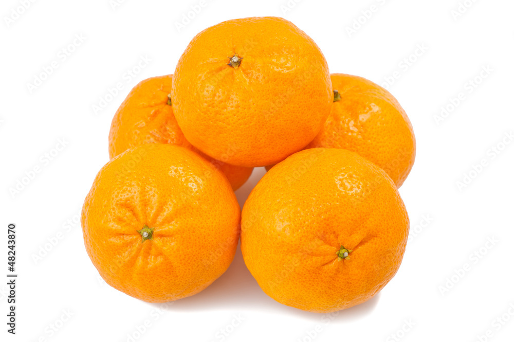 mandarins; mandarins;
