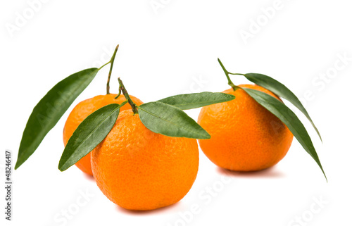 tangerines isolated