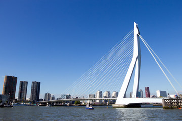 Fototapete Erasmusbrücke Erasmusbrücke Rotterdam moderne Stadtarchitektur  © VanderWolf Images