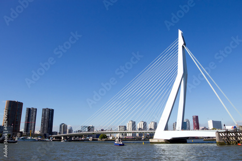 Erasmus bridge - Rotterdam