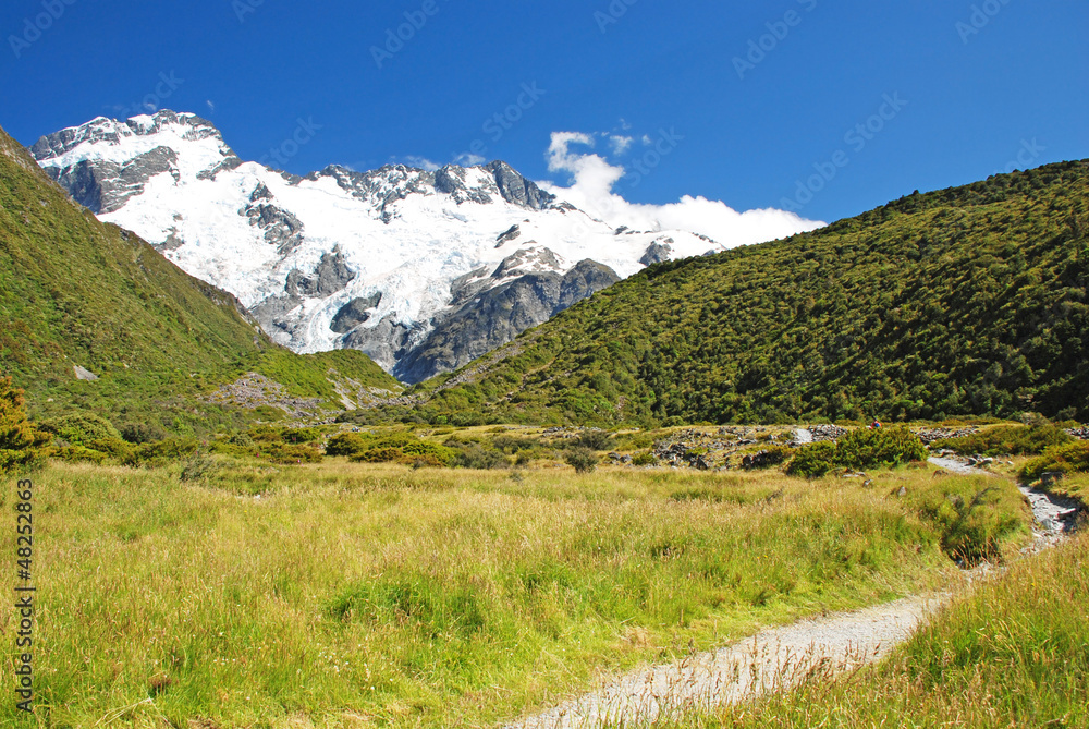 Trekking in Mt. Cook national park, New Zealand