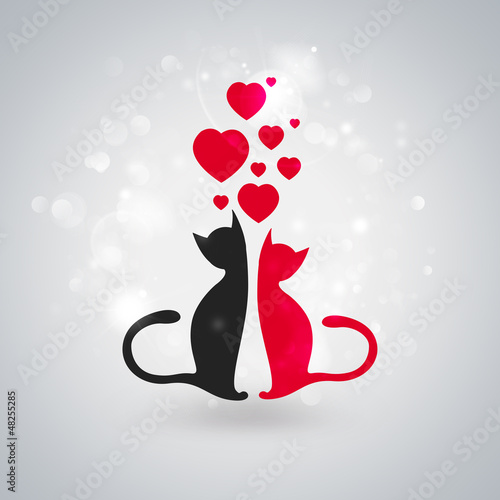 Valentine illustration. Two cats sitting together in love