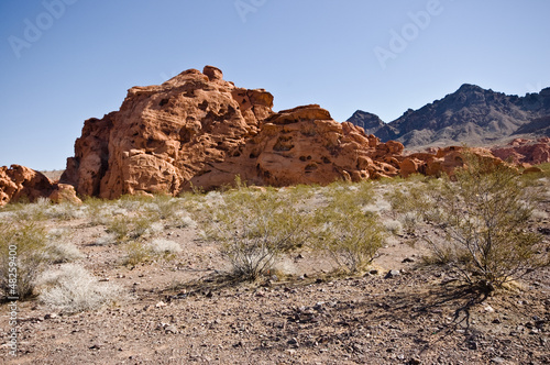 Nevada Landscape