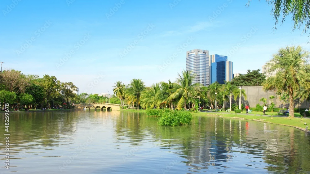 Chatuchak Park in green grass with trees and lake Chatuchak Park in green grass with trees and lake