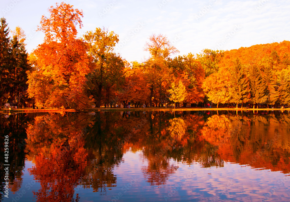 Autumn landscape