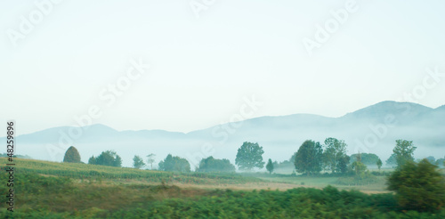 foggy landscape