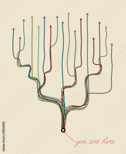 decision tree -  you are here