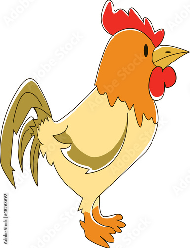 Rooster