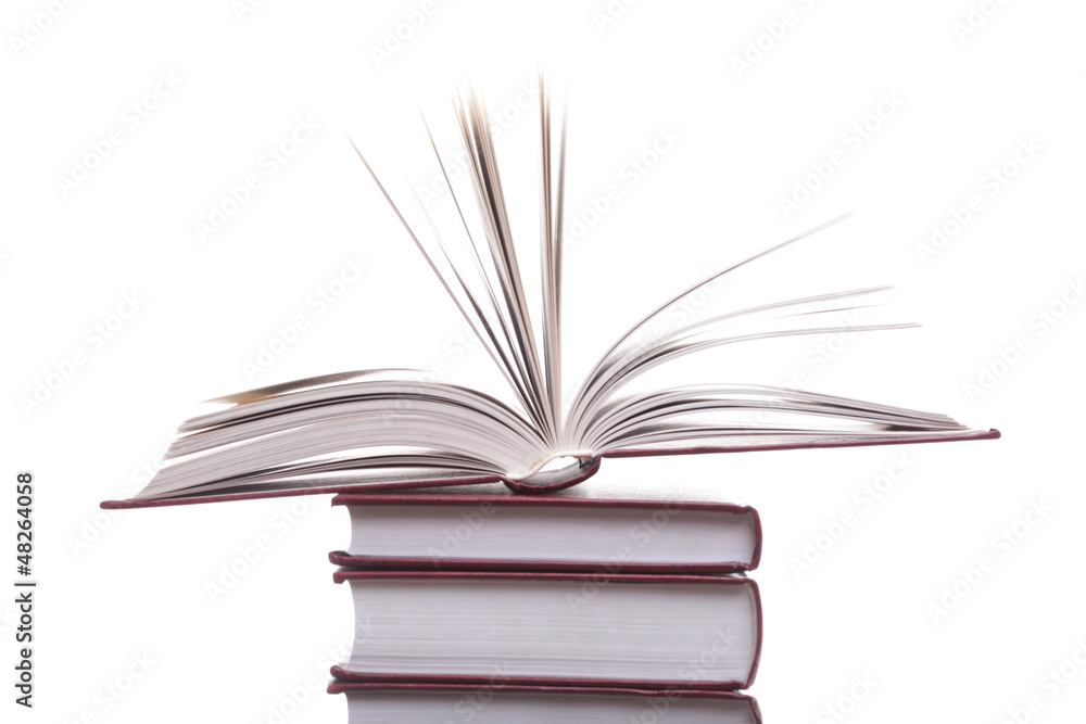 Fototapeta premium Isolated red pile books
