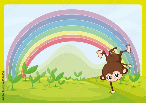 A dancing monkey and a rainbow