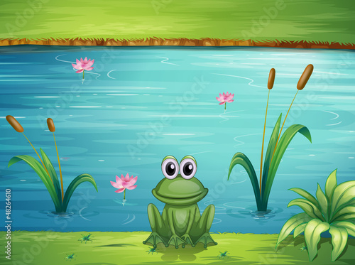 A river and a frog