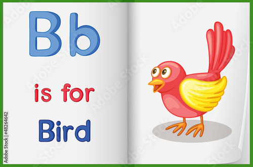 A picture of a bird in a book