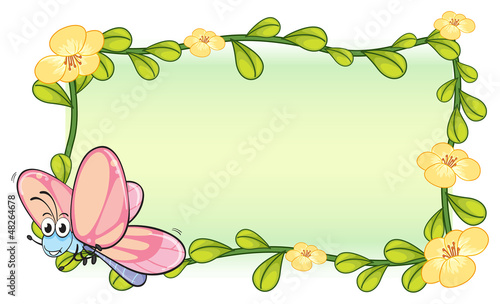 A butterfly and a flower frame
