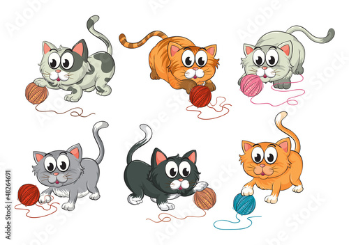 Cats playing with wool