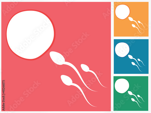 Ovum and spermatozoon. Fertilization