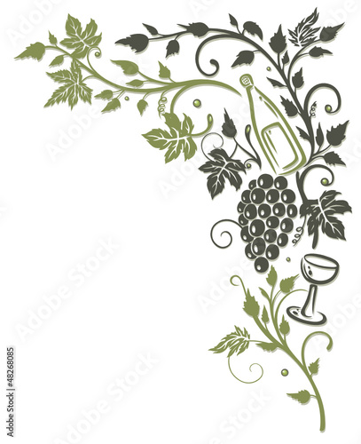 Wein, Weinrebe, Ranke, Weinblätter, Weintrauben, wine