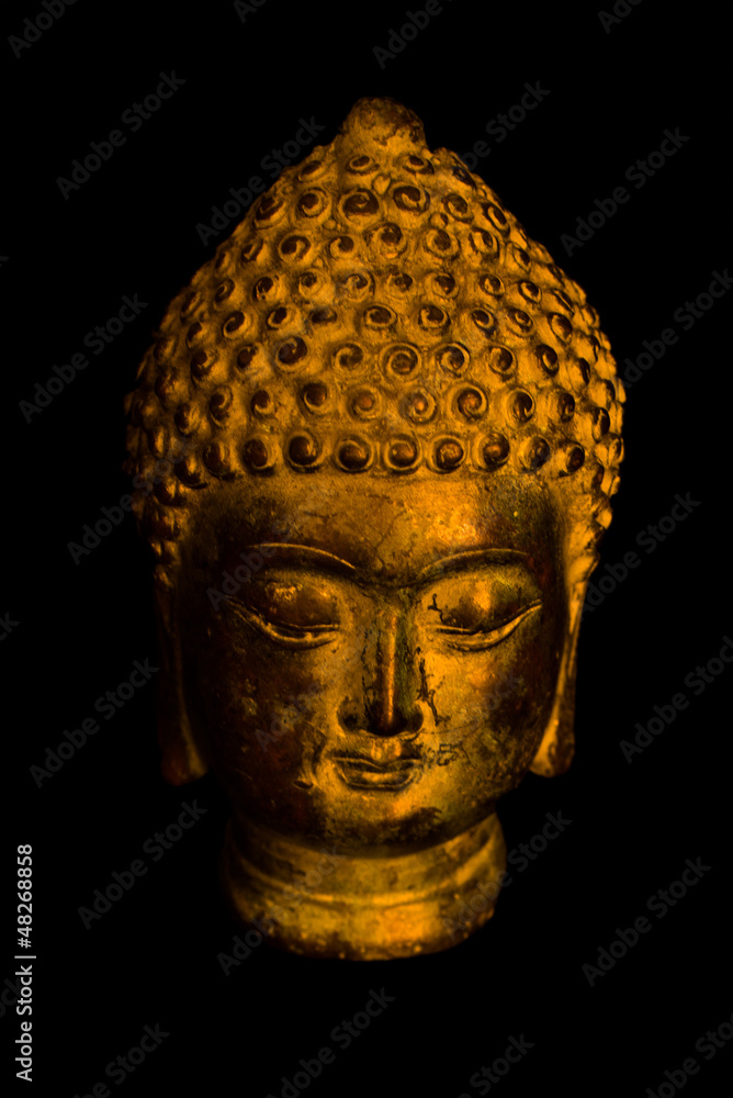 Buddha portrait Buddha portrait