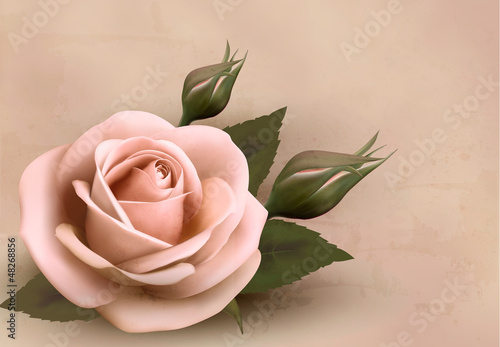 Retro background with beautiful pink rose with buds. Vector illu