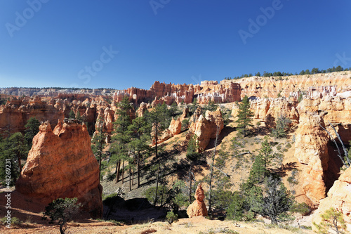 view of Bryce Canyon