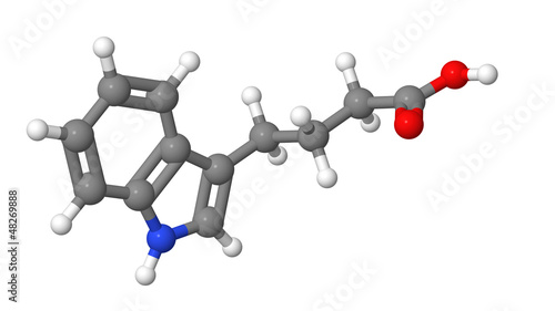 Plant hormone - Auxins - IBA - molecular model photo