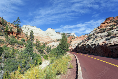 famous road in Zion National Park