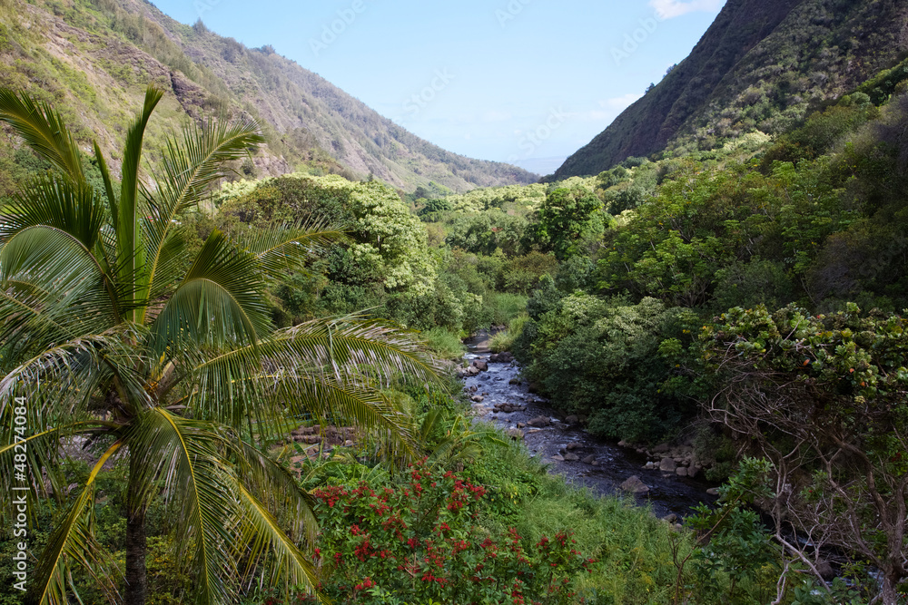 custom made wallpaper toronto digitalMaui's 'Iao Valley