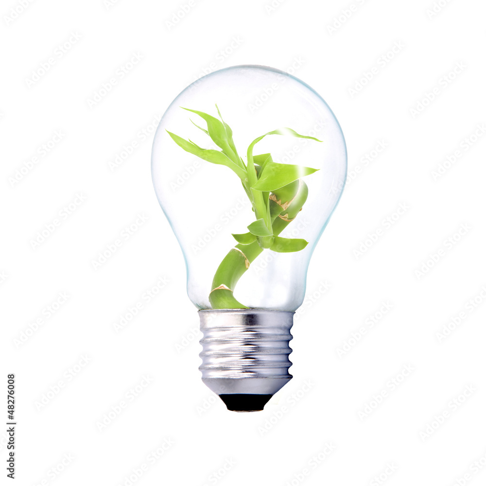 bombilla y planta bombilla y planta