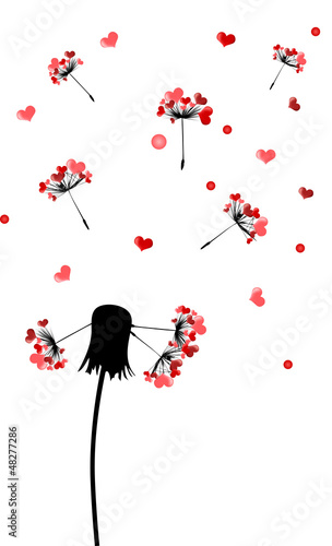 dandelion with flying heart shape seeds