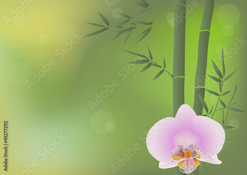 bamboo and pink orchid flower on green