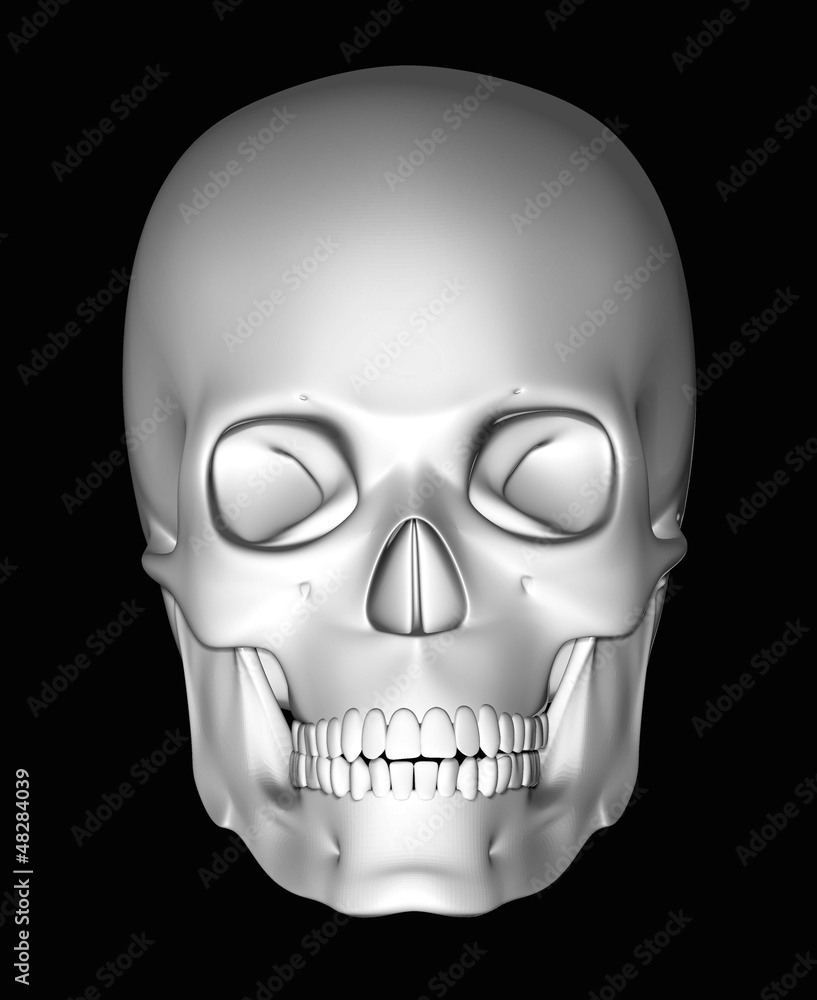 Cranio teschio fronte Cranio teschio fronte
