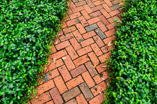 Red brick pathway in the garden