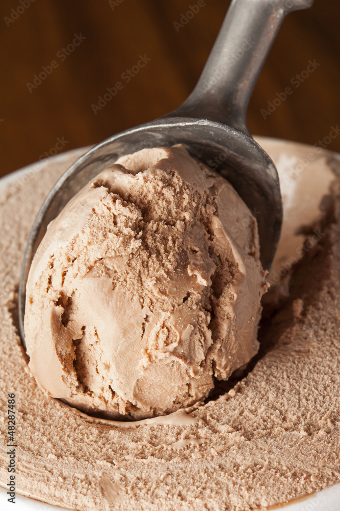 Fototapeta premium Cold Organic ice Cream