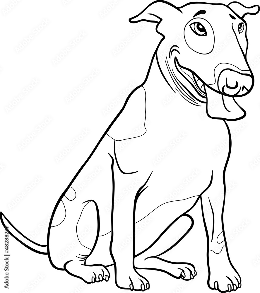 Obraz premium bull terrier dog for coloring book