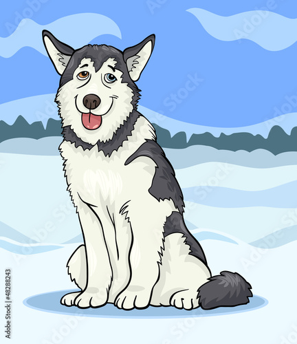 husky or malamute dog cartoon illustration