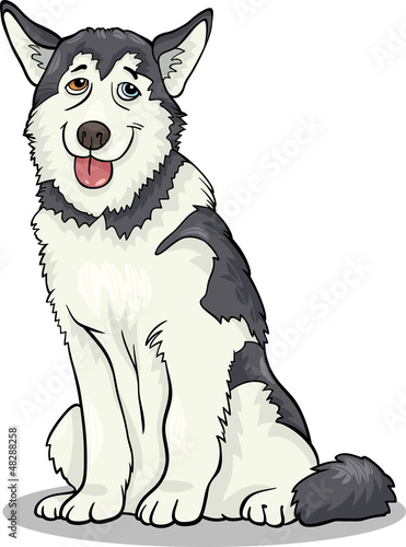 husky or malamute dog cartoon illustration