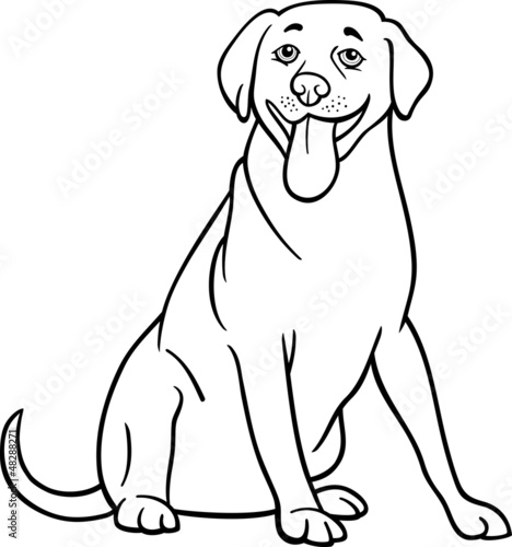 Fototapeta Naklejka Na Ścianę i Meble -  labrador retriever dog cartoon for coloring