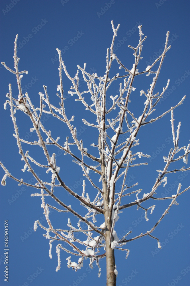 Obraz premium inverno