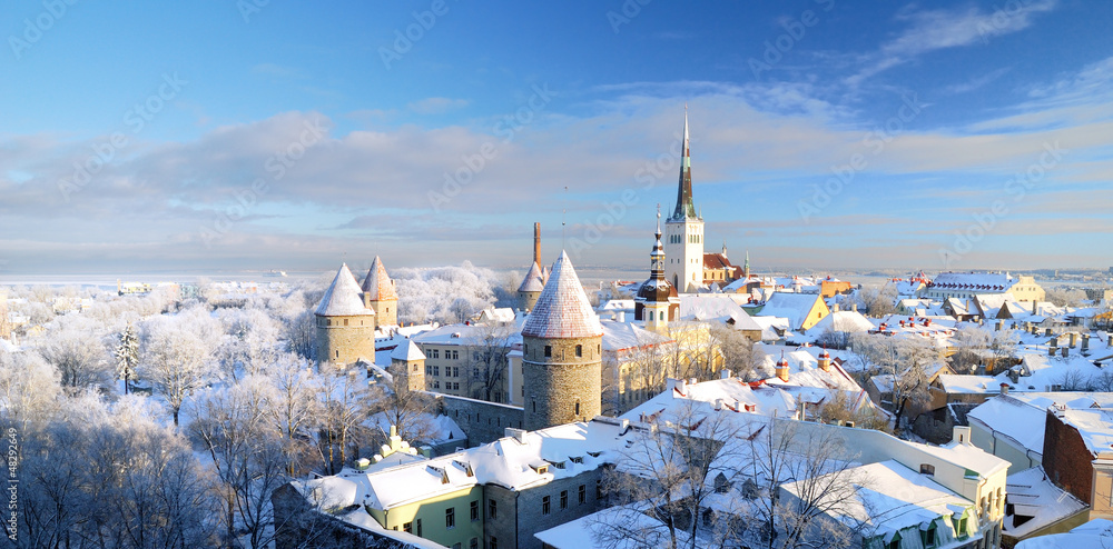 Tallinn city. Estonia. Snow on trees in winter - obrazy, fototapety, plakaty 