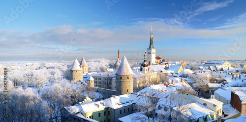 Tallinn city. Estonia. Snow on trees in winter