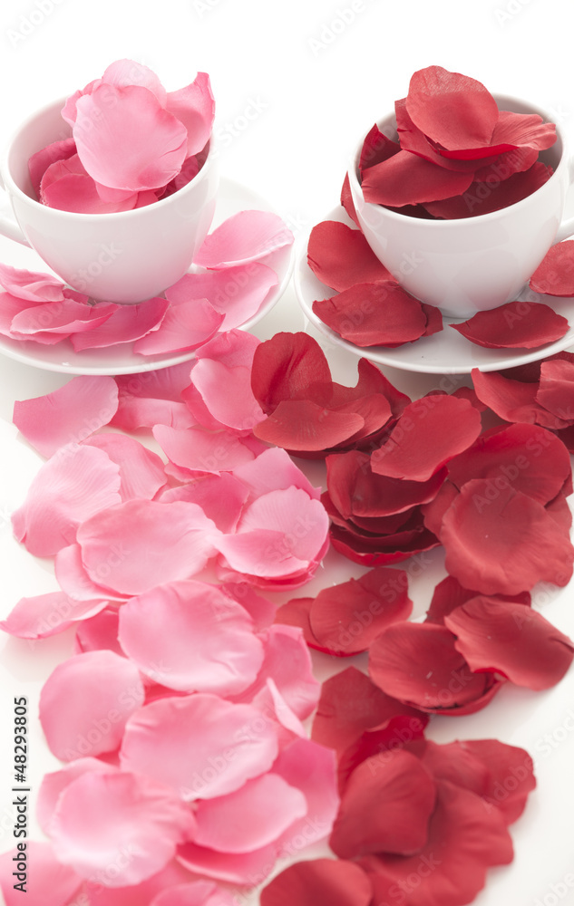 Coffee cup and rose petals Coffee cup and rose petals