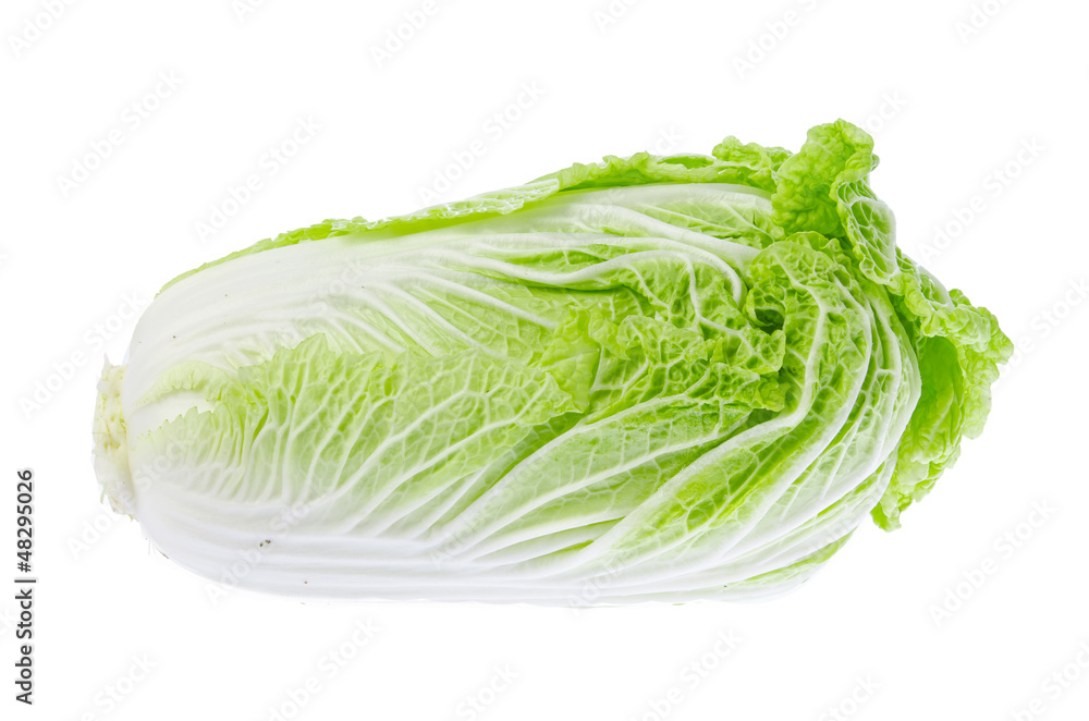 Fresh and perfect head of napa lettuce or cabbage Fresh and perfect head of napa lettuce or cabbage