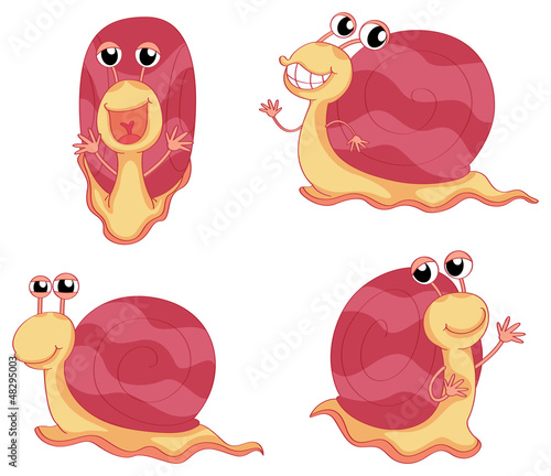 Snails