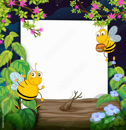 Honey bees and a white board